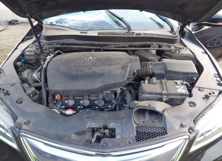 Photo 10 of 2015 Acura Tlx V6 ADVANCE (VIN 19UUB2F72FA000291)