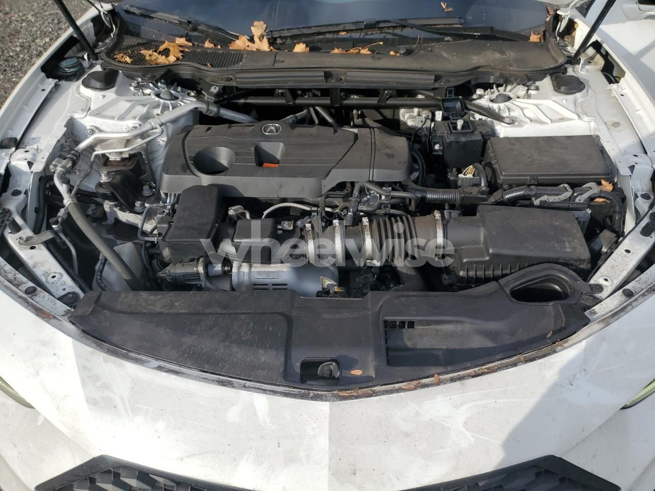 Photo 11 of 2022 ACURA TLX TECH A N/A (VIN 19UUB6F56NA002906)