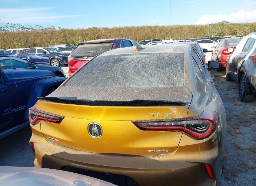 Photo 16 of 2023 Acura Tlx TYPE S - HP WHEEL AND TIRE (VIN 19UUB7F97PA003235)