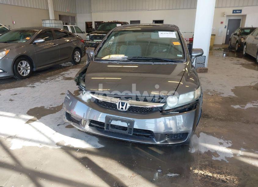Photo 12 of 2009 Honda Civic EX (VIN 19XFA16829E010558)