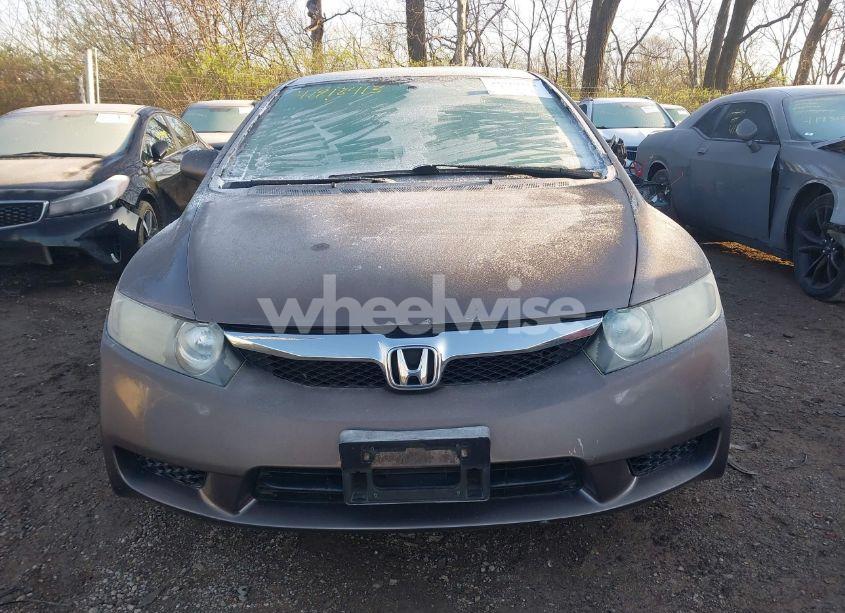 Photo 13 of 2009 Honda Civic EX-L (VIN 19XFA16909E001155)