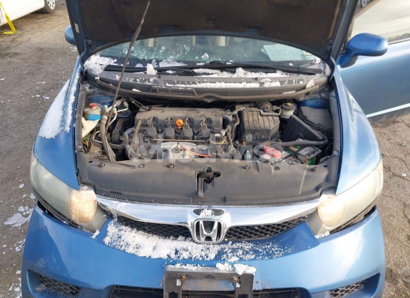 Photo 10 of 2009 Honda Civic EX-L (VIN 19XFA16969E031809)