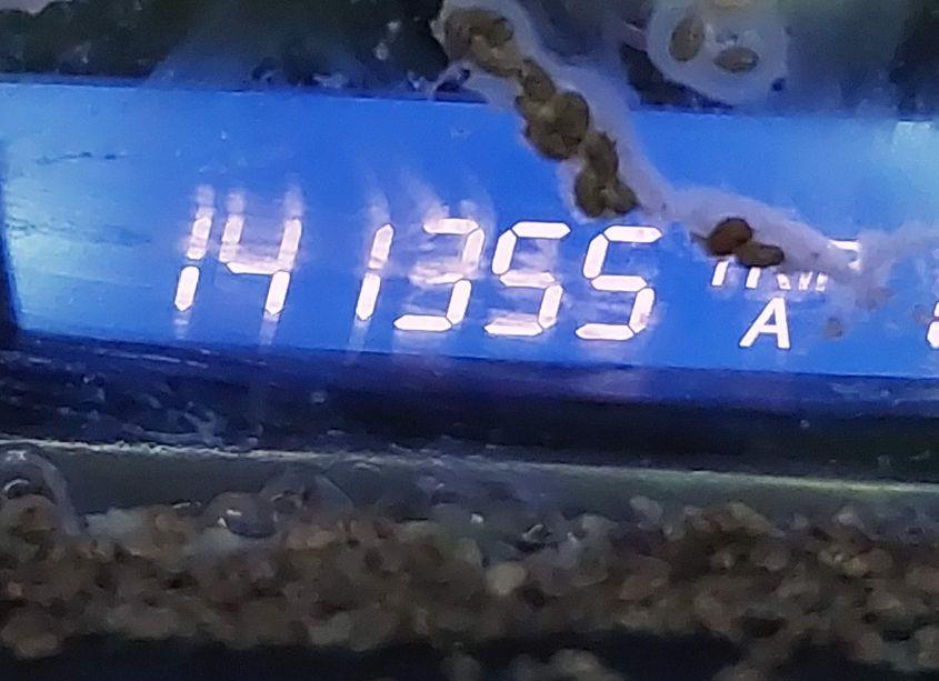 Photo 7 of 2011 Honda Civic LX (VIN 19XFA1F5XBE001344)