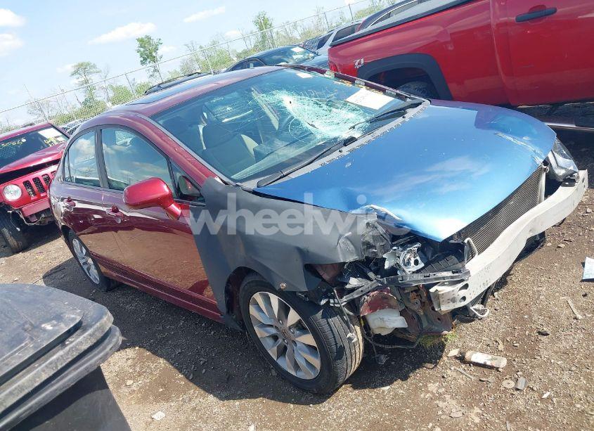 2011 Honda Civic EX (VIN 19XFA1F81BE021525) main photo