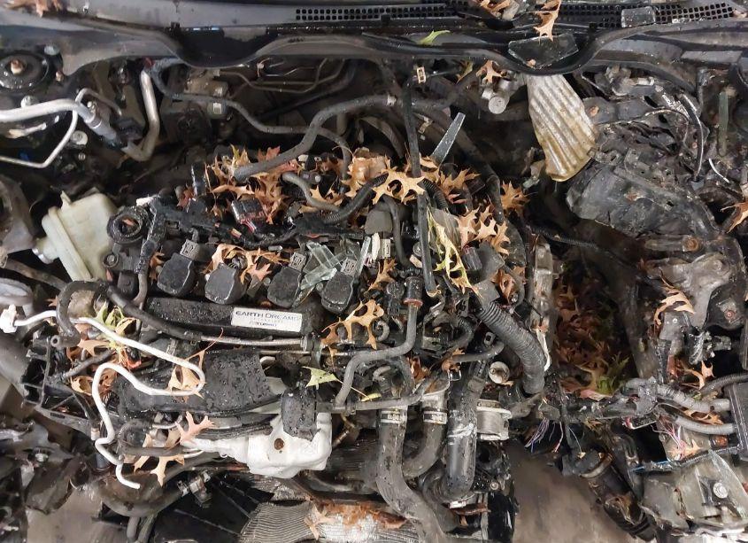 Photo 10 of 2019 Honda Civic EX (VIN 19XFC1F35KE203999)