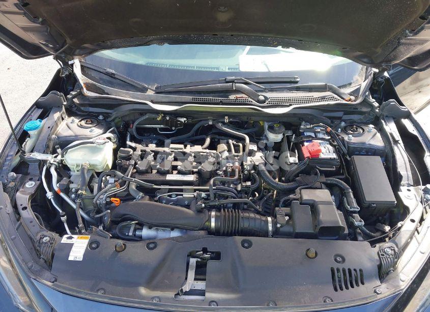 Photo 10 of 2020 Honda Civic EX-L (VIN 19XFC1F73LE216531)