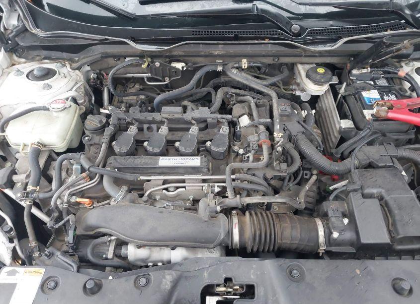 Photo 10 of 2020 Honda Civic EX-L (VIN 19XFC1F79LE202875)