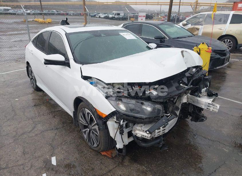 2020 Honda Civic EX-L (VIN 19XFC1F7XLE208720) main photo