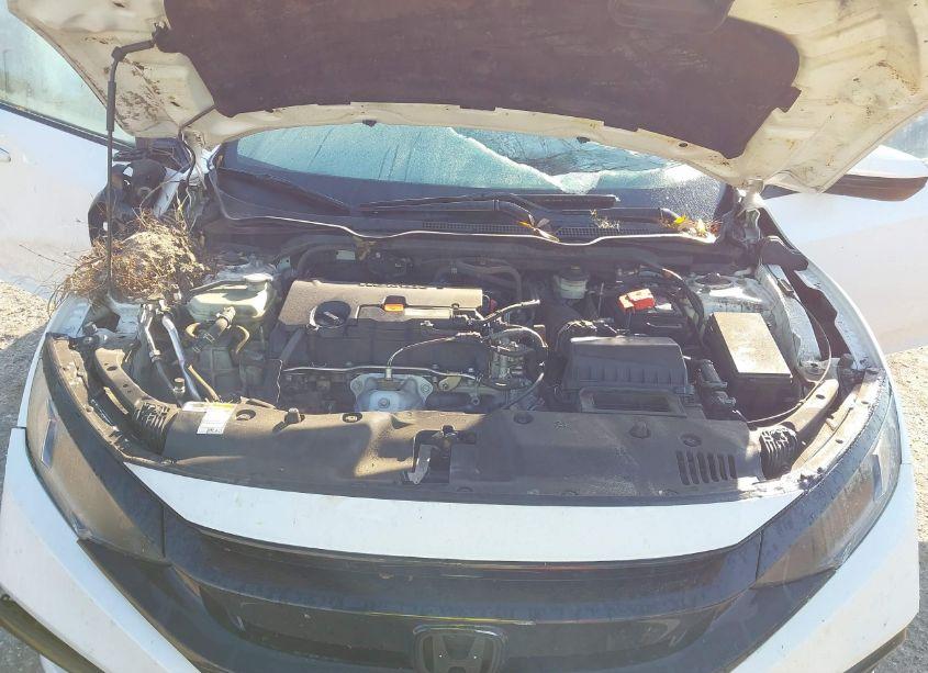 Photo 10 of 2019 Honda Civic SPORT (VIN 19XFC2E86KE046017)