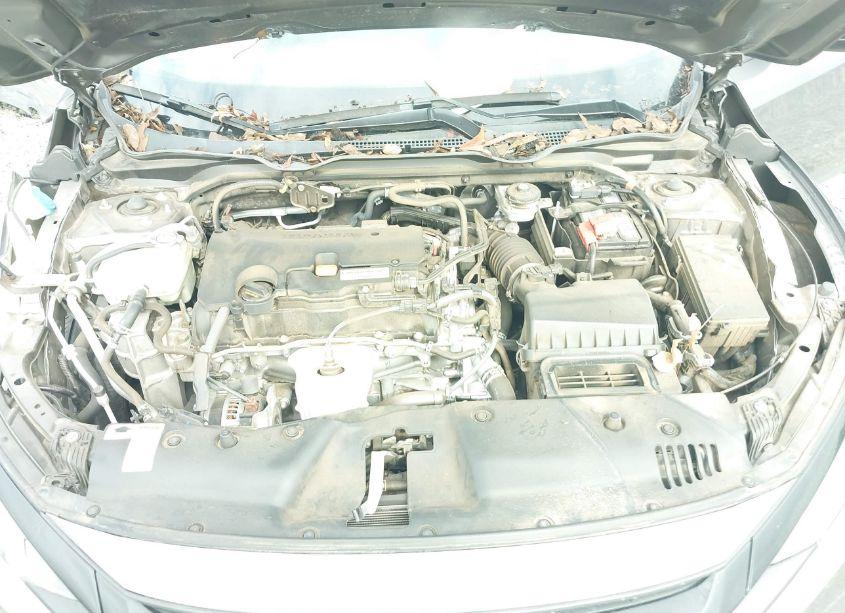 Photo 10 of 2019 Honda Civic LX (VIN 19XFC2F66KE024564)