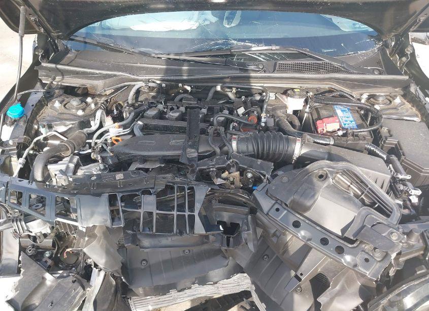 Photo 10 of 2024 Honda Civic EX-L (VIN 19XFL1H72RE031392)