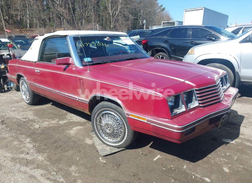 1983 Dodge 400 (VIN 1B3BV55C8DG164346) main photo