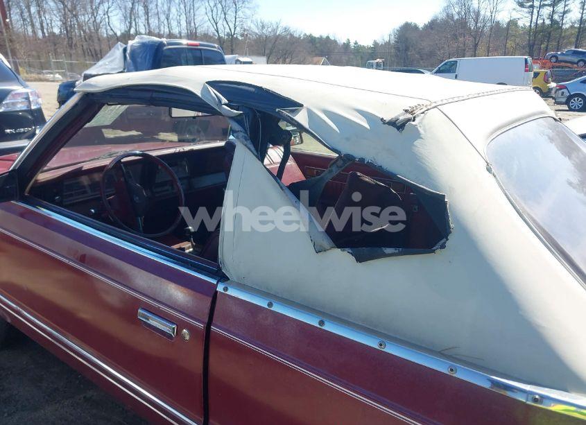 Photo 6 of 1983 Dodge 400 (VIN 1B3BV55C8DG164346)