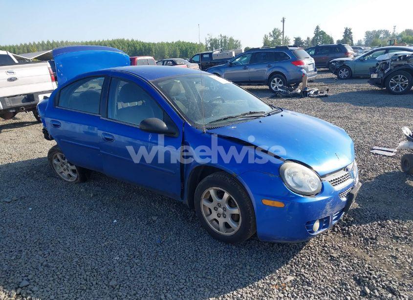 2005 Dodge Neon SXT (VIN 1B3ES56C65D211428) main photo