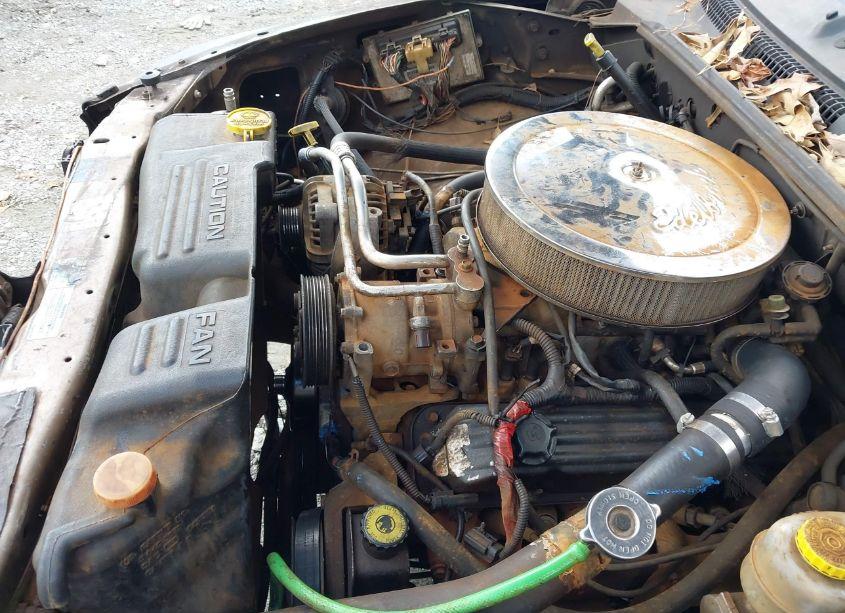 Photo 10 of 2000 Dodge Durango (VIN 1B4HR28Y8YF145470)