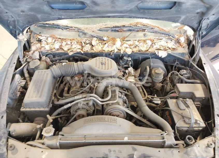 Photo 10 of 1999 Dodge Durango N/A (VIN 1B4HS28Y1XF700830)