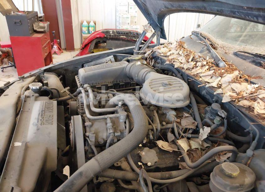 Photo 6 of 1999 Dodge Durango N/A (VIN 1B4HS28Y1XF700830)