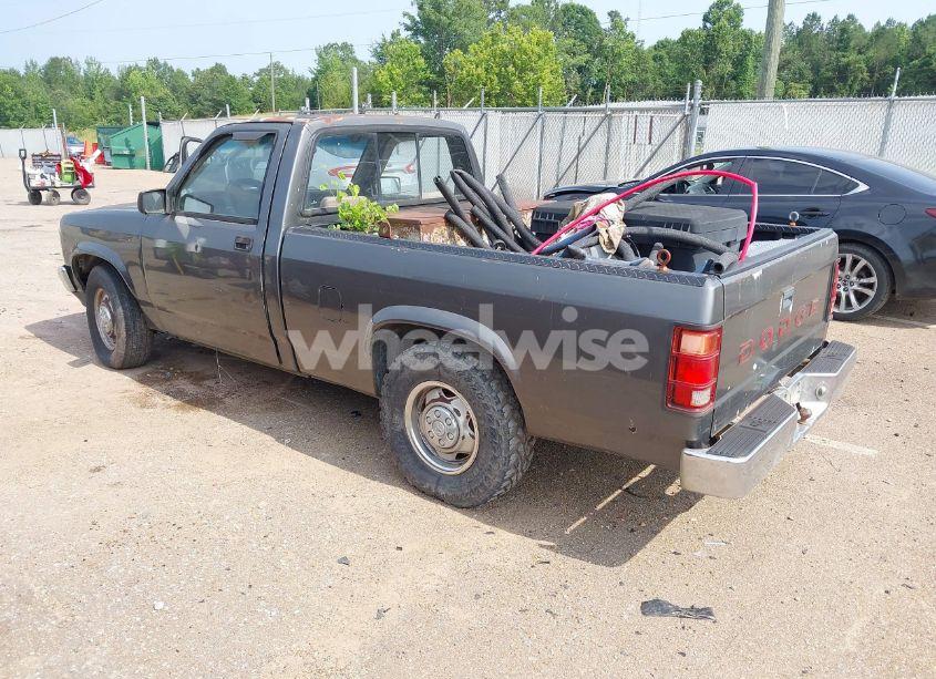 Photo 3 of 1992 Dodge Dakota (VIN 1B7FL26X0NS508319)
