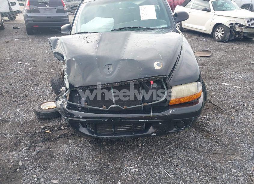 Photo 13 of 1998 Dodge Dakota SLT/SPORT (VIN 1B7FL26X5WS716567)