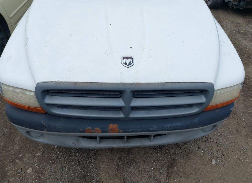 Photo 10 of 1999 Dodge Dakota SLT/SPORT (VIN 1B7FL26X5XS154980)