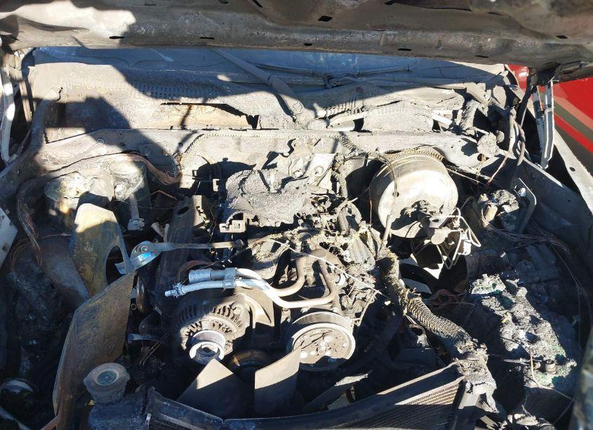 Photo 10 of 1999 Dodge Dakota SLT/SPORT (VIN 1B7FL26Y8XS210225)