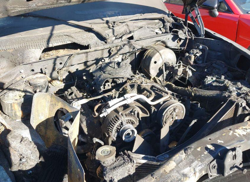 Photo 14 of 1999 Dodge Dakota SLT/SPORT (VIN 1B7FL26Y8XS210225)