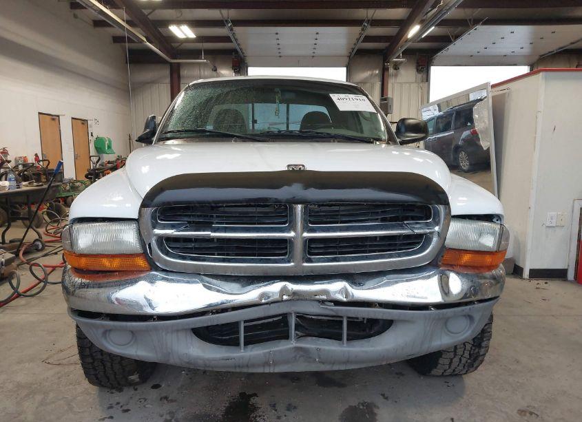 Photo 13 of 2001 Dodge Dakota SLT/SPORT (VIN 1B7GG22N41S329594)