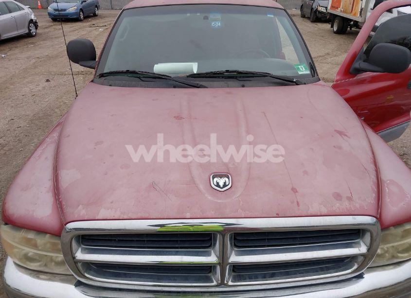 Photo 6 of 1999 Dodge Dakota SLT/SPORT (VIN 1B7GG22Y3XS205335)