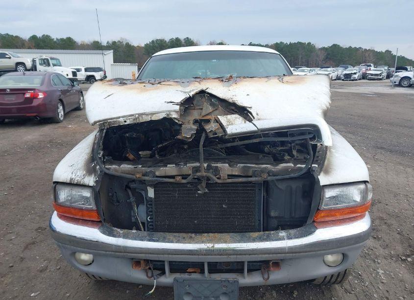 Photo 6 of 1999 Dodge Dakota SLT/SPORT (VIN 1B7GG22YXXS135896)