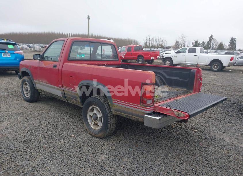 Photo 3 of 1989 Dodge Dakota SPORT (VIN 1B7GG66X9KS094016)