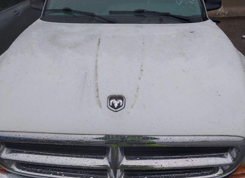 Photo 10 of 1999 Dodge Dakota SLT/SPORT (VIN 1B7GL22X0XS228767)