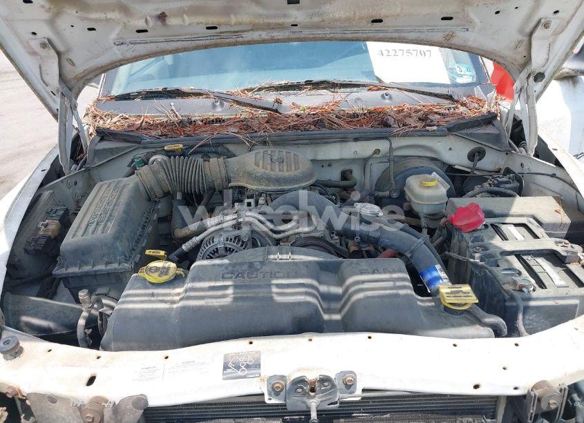 Photo 10 of 2001 Dodge Dakota SLT/SPORT (VIN 1B7GL22X81S104043)