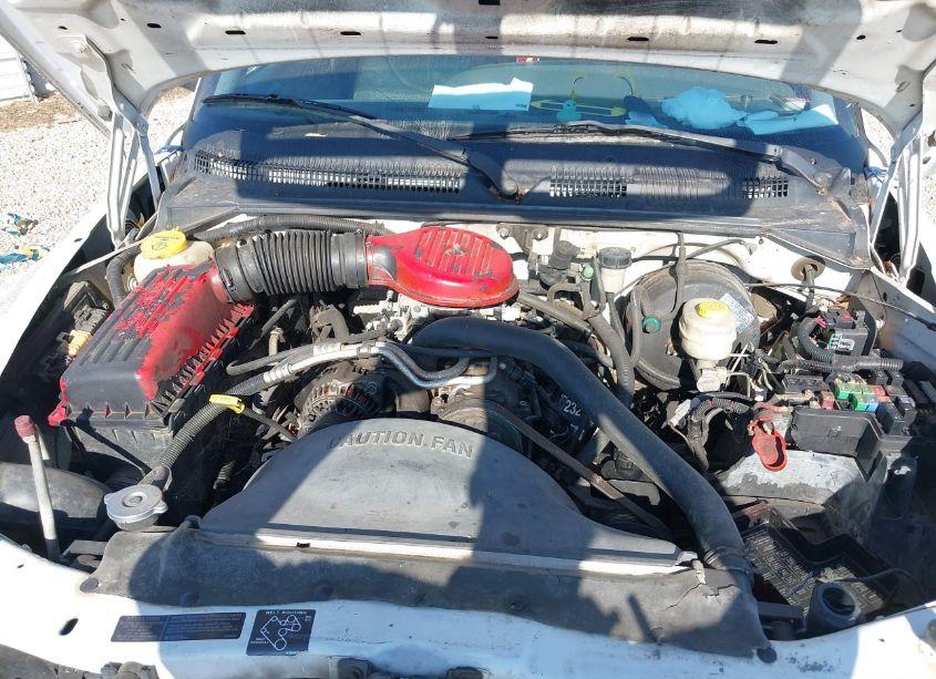 Photo 10 of 1999 Dodge Dakota SLT/SPORT (VIN 1B7GL22XXXS173681)