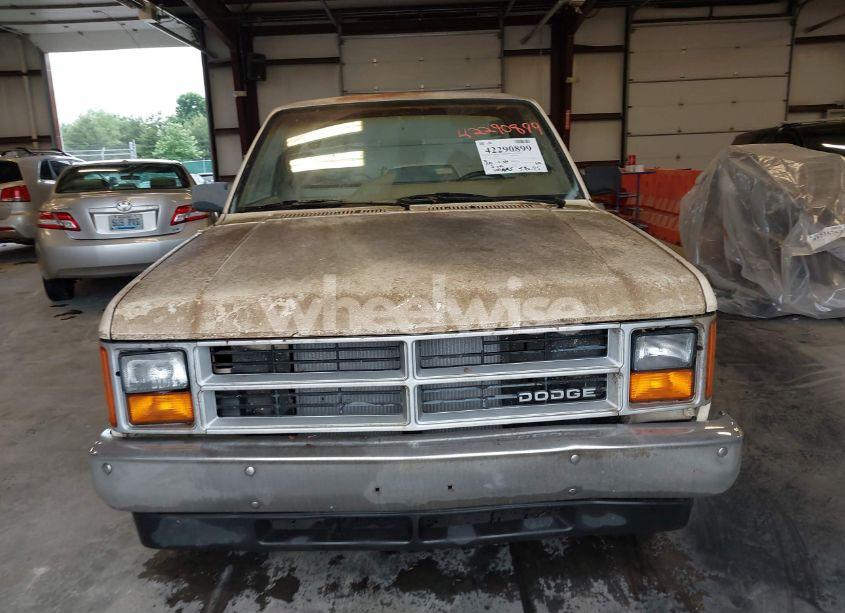 Photo 6 of 1987 Dodge Dakota N/A (VIN 1B7GN14M1HS486188)