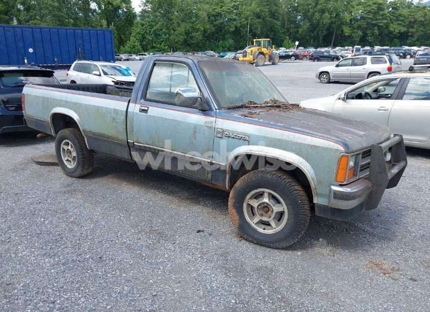 1987 Dodge Dakota N/A (VIN 1B7GR14M9HS404759) main photo