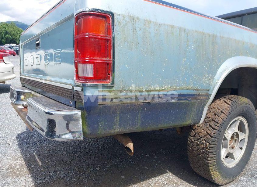 Photo 14 of 1987 Dodge Dakota N/A (VIN 1B7GR14M9HS404759)