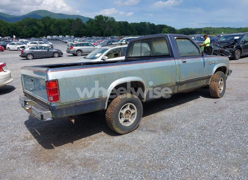 Photo 4 of 1987 Dodge Dakota N/A (VIN 1B7GR14M9HS404759)