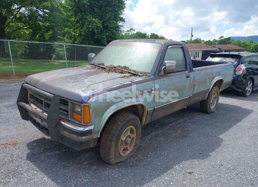 Photo 6 of 1987 Dodge Dakota N/A (VIN 1B7GR14M9HS404759)