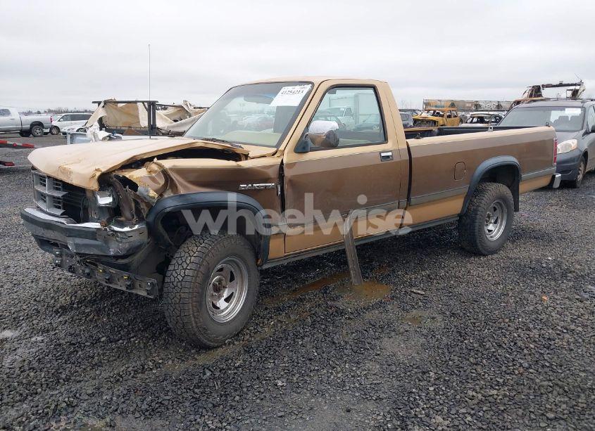 Photo 2 of 1987 Dodge Dakota N/A (VIN 1B7GR14MXHS398633)