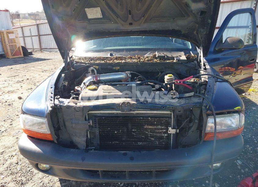 Photo 10 of 2002 Dodge Dakota SPORT (VIN 1B7HG38N52S636646)