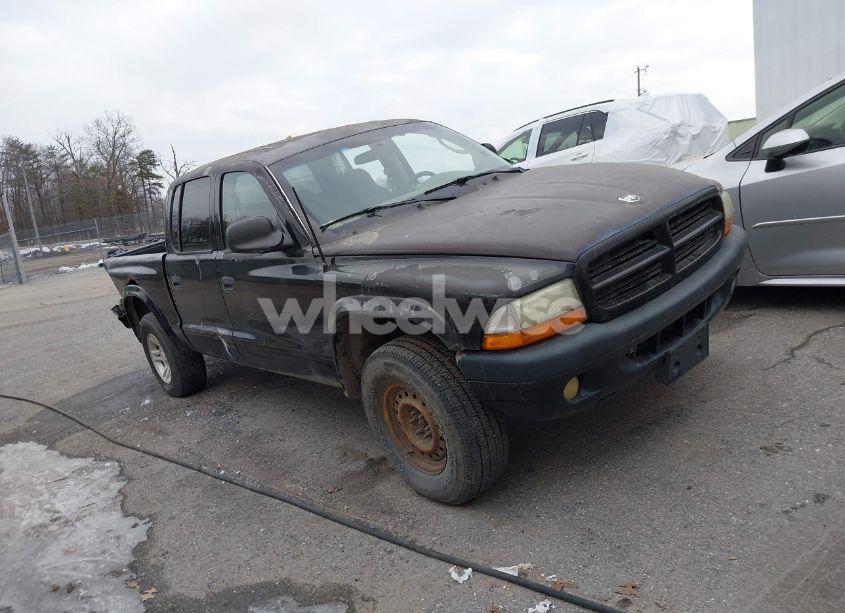 2002 Dodge Dakota SPORT (VIN 1B7HG38N92S558033) main photo