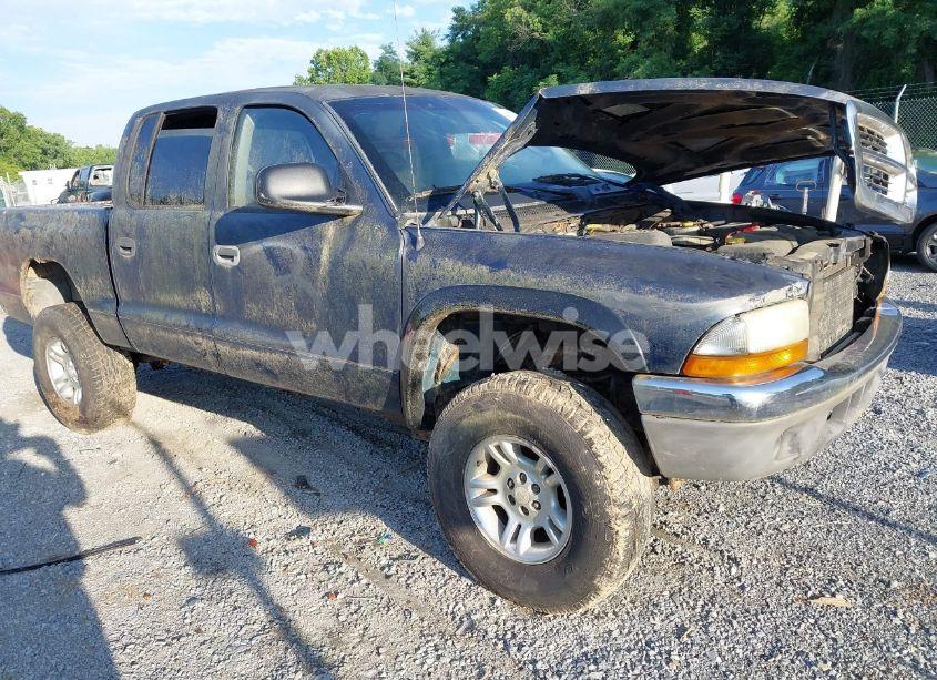 2002 Dodge Dakota SLT (VIN 1B7HG48N82S682686) main photo