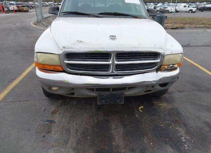 Photo 12 of 2001 Dodge Dakota SLT/SPORT (VIN 1B7HL2AN61S326567)