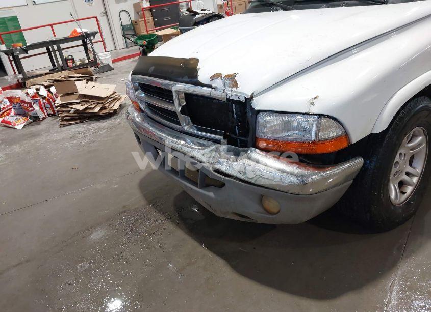 Photo 6 of 2001 Dodge Dakota SLT/SPORT (VIN 1B7HL2AX21S259774)