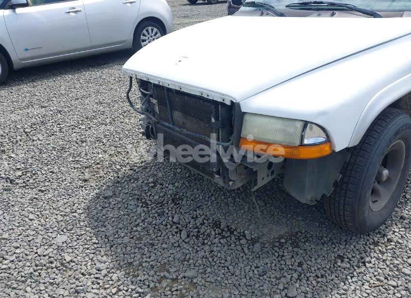 Photo 13 of 2002 Dodge Dakota SLT (VIN 1B7HL48N42S607446)