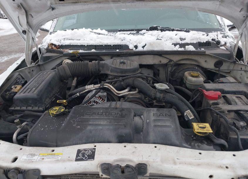 Photo 10 of 2002 Dodge Dakota SLT (VIN 1B7HL48X62S511772)