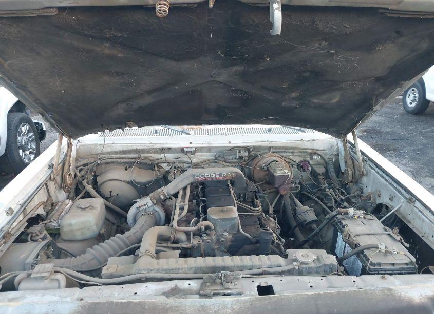 Photo 9 of 1991 Dodge D-series D300/D350 (VIN 1B7ME3687MS211935)