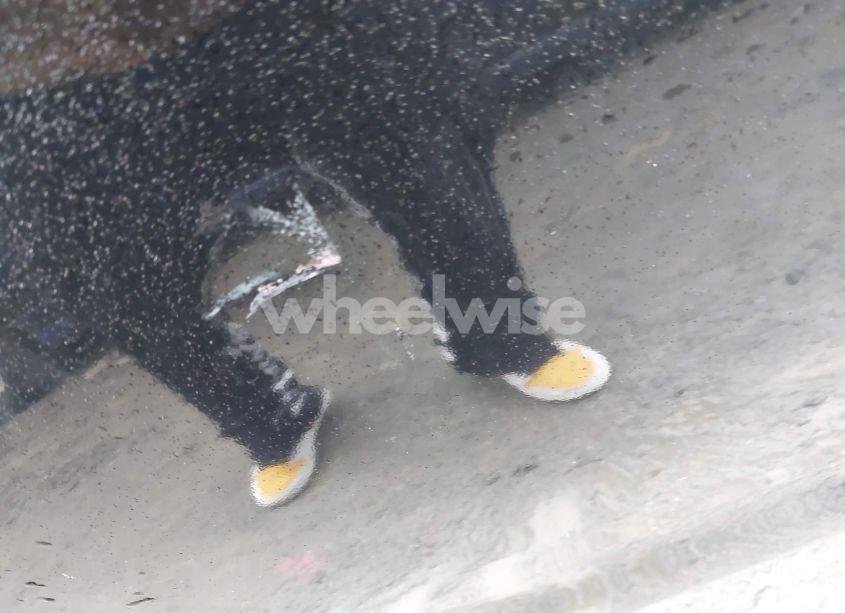 Photo 12 of 2015 Dodge Dart SXT (VIN 1C3CDFBB9FD281742)