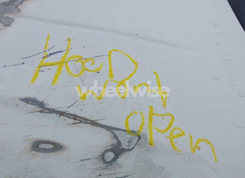 Photo 10 of 2008 Chrysler Sebring LIMITED (VIN 1C3LC65M48N289969)