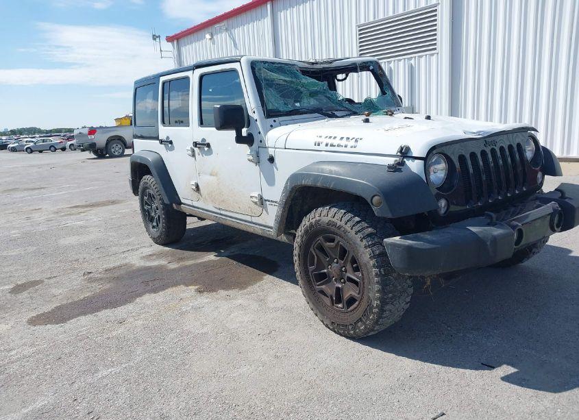 2016 Jeep Wrangler UNLIMITED WILLYS WHEELER (VIN 1C4BJWDG7GL123397) main photo